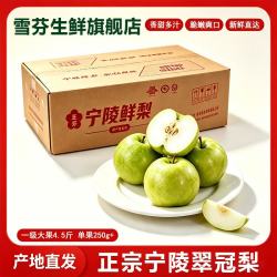 雪芬翠冠梨新鲜现摘 青皮脆梨 脆甜多汁 当季生鲜水果 现摘现发 净重4.5斤