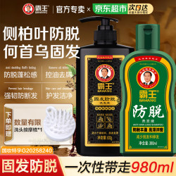 霸王 固发防脱洗发液600g+防脱洗发液380g