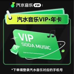 汽水音乐 VIP会员12个月会员