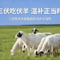 京满铜锅涮肉 铜锅涮肉4-6人餐17道菜品可搭配选择