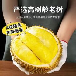 曼莱香泰国进口金枕榴莲老树果 当季新鲜整个带壳金枕头报恩盲盒水果 净重2-3斤单果