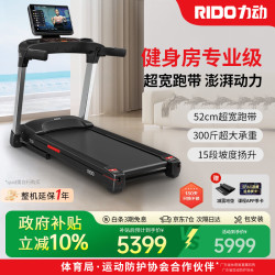 力动（RIDO） 跑步机 家用减震室内走步机健身器材高端智能电动坡度健身房 TT30蓝屏版