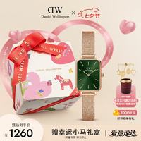 Daniel Wellington QUADRO系列 20毫米石英腕表 DW00100445