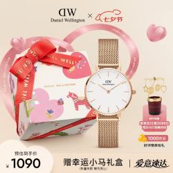 Daniel Wellington PETITE系列 28毫米石英腕表 DW00100219