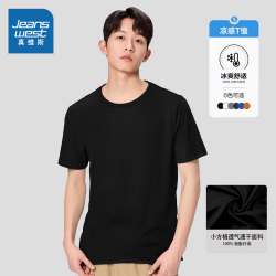 真维斯 夏季t恤短袖宽松圆领凉感休闲运动上衣速干体恤 黑色R30 4XL （160-180斤）