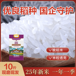 金健 2025当季新米 泰国香米  箱规4包5kg 5kg 5kg