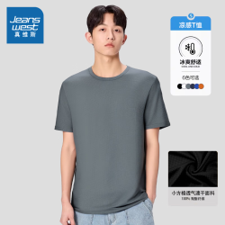 真维斯 夏季t恤短袖宽松圆领凉感休闲运动上衣速干体恤 灰色R30 4XL （160-180斤）