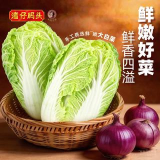 湾仔码头 大白菜猪肉水饺 1000g48只 速冻饺子