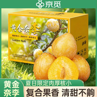 京觅 湖南文明黄金奈李净重5斤单果60g+酸甜多汁新鲜李子源头直发包邮