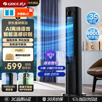 格力 冷静宝家用空调扇冷风扇等离子除菌静音KS-06S80DVag