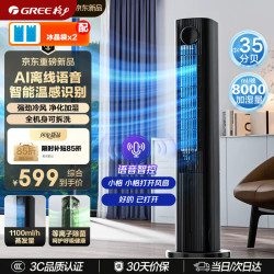 格力 冷静宝家用空调扇冷风扇等离子除菌静音KS-06S80DVag