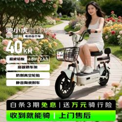 驰小虎 吉祥虎 48V12Ah铅酸电池 绿色 电动自行车