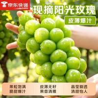 勿语 阳光玫瑰葡萄新鲜无籽青提当季现摘  香印提子包邮孕妇水果 铂金果带箱5斤（单果8g+）净重4斤