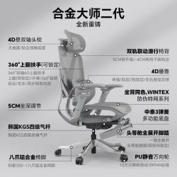 ENOVA 合金大师2代 人体工学电脑椅 黑色