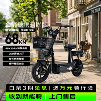 金箭 糖果 48V20Ah 铅酸新国标电动车醇黑色