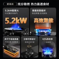 华蒂恩科 XPO 5.2kW猛火 瓶装液化气 双灶燃气灶