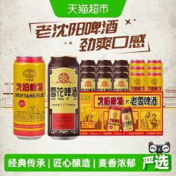 雪花 老雪混装 美式拉格啤酒 500ml*15听