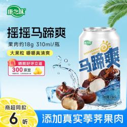 康之味 马蹄爽送礼0添加真实荸荠果肉果味聚会饮料果汁 马蹄爽310ml*6听