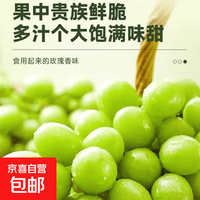 京喜加 A6现摘现发大凉山晴王阳光玫瑰中果单果6g 带箱四斤