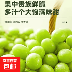 京喜加 A6现摘现发大凉山晴王阳光玫瑰中果单果6g 带箱四斤