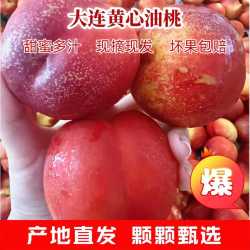 鲜姿 大连红油桃桃 4.5斤