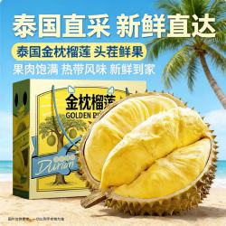 东东田 金枕榴莲 净重3-5斤