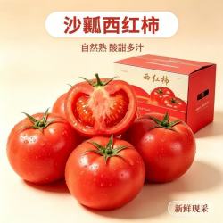 黄六爷 普罗旺斯沙瓤西红柿 净重4.8-5斤
