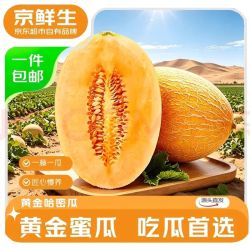 京鲜生 甘肃金色年华哈密瓜 净重 6-7斤 2粒装 生鲜水果源头直发 