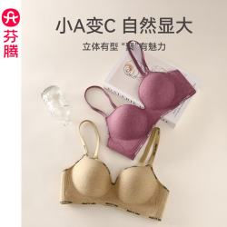 芬腾 内衣 舒适聚拢防下垂收副乳透气无痕无钢圈大胸小胸一体式女士胸罩