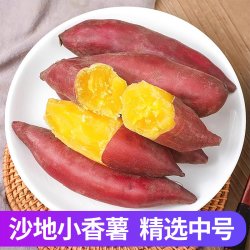 薯小萌 浙江临安天目山小香薯 3斤 小果