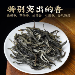 金星满天 2026年新茶云南易武正山古树普洱茶生茶散茶早春生普茶叶散装 口碑好高复购500g装