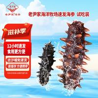 老尹家 速发海参试吃装 1 只