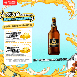 珠江啤酒 9.7°P 珠江纯生啤酒(1997) PLUS 970mL 1瓶