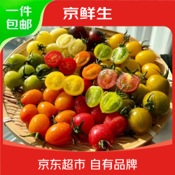 京鲜生 山东三色小番茄 圣女果组合 净重3斤 新鲜蔬菜 源头直发