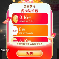 淘宝 购物清单  每日进入弹窗可领最高666元随机优惠（每日可领实测0.16元）
