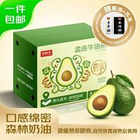京鲜生 云南哈斯牛油果 大果2粒装 单果120g起