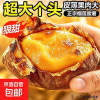 京喜 正宗黄金蜜薯丝滑口感粗粮烤番薯甜而不腻 带箱 4斤