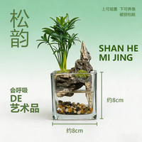 真植物山水一体微景观桌面观赏鱼缸办公室床头绿植摆件斗鱼孔雀鱼 松韵方型缸