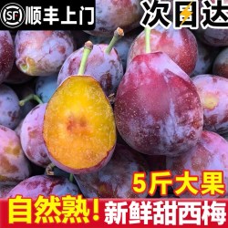 果天赐 西梅鲜果 5斤 16-25g