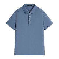 安正 26年夏装商务休闲上衣短袖T恤男珠地棉polo衫ALGX2TS10A 雾霾蓝 2XL 52 18