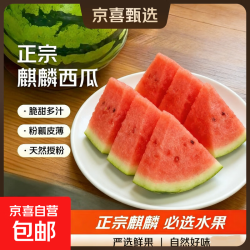 东东农场 正宗无籽美都麒麟西瓜 7-9斤