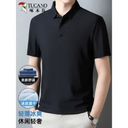 啄木鸟 短袖T恤男夏季冰丝速干无痕Polo衫商务休闲翻领半袖上衣服男装 黑色 XL （建议130-145斤）