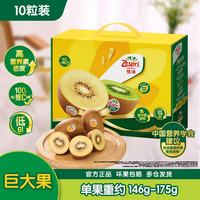 佳沛 意大利阳光金奇异果 巨大果 10粒 礼盒装