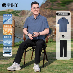 宝财羊 爸爸夏季套装冰丝短袖t恤男凉感polo衫中老年人上衣服父亲节礼物