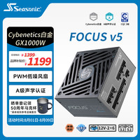 海韵 1000W 双色线材白金认证 电脑电源
