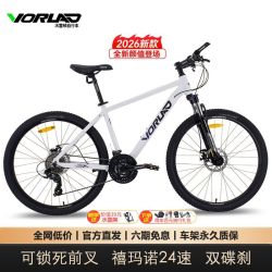 VORLAD 红日300 山地车 铝合金车架 24速