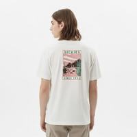 Dickies 夏季纯棉短袖t恤男士宽松圆领美式复古潮牌休闲情侣上衣 DK0A8823 白鹭白 L