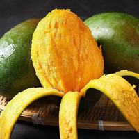 京喜 攀枝花 凯特芒果 台农芒 应季热带时令芒果水果整箱送礼 净重3.5-4斤 单果500g