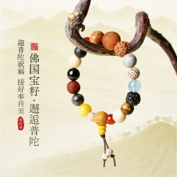 普陀山 十八籽手串 LYG-A9-1