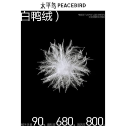 太平鸟 衬衫式压胶轻薄羽绒服 黑色 L